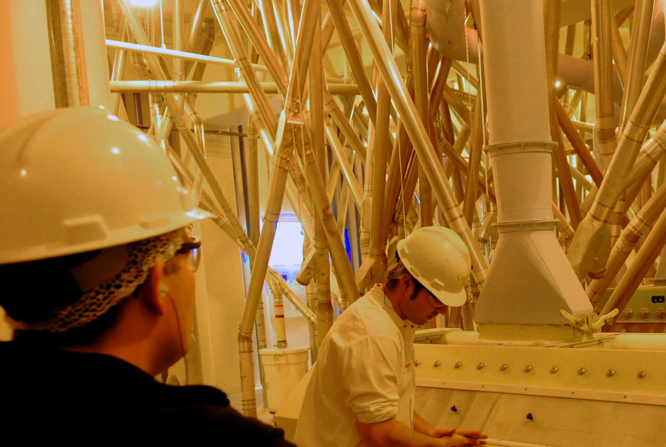 Richard Sennott@startribune.com Hastings Mn. Tuesday 02/01/11 : ] ConAgra runs one of the largest flour mills in the country on the Vermillion River by Hwy. 61 in Hastings. Dick Darsow, city historian talks about how in the 1860s the mill,then owned by Steven Gardner, developed a sieve, called a midlands purifier, which greatly improved flour quality and profits. Scott Roush Head Miller looks at some of the flour pouring into the purifier.