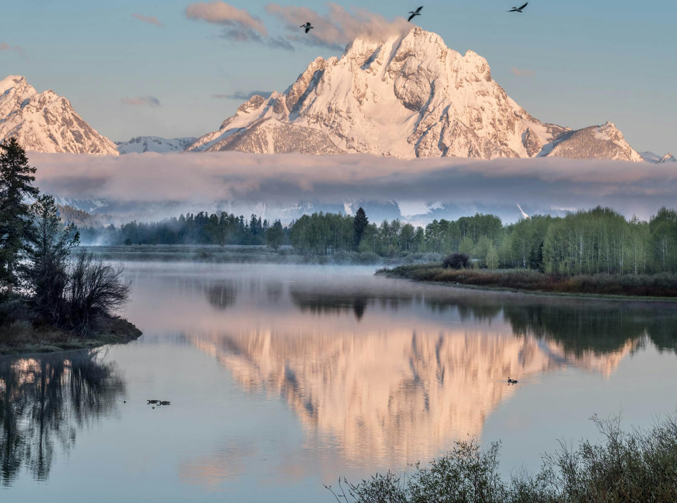 David Halgrimson, Rogers MN.
----
Tetons National Park Destination Details: I was on an Arizona Highways Photo Workshop as a Volunteer Photo Guide to the Grand Tetons in June of 2017. The day before the workshop started a friend and I went to Oxbow Bend to shot at sunrise, around 5:00am. The clouds were hanging low across the mountains and steam was coming from the lake. Some Pelicans flew by at the time I took the shot. The place: Oxbow Bend in the Grand Tetons is one of the top places and the
