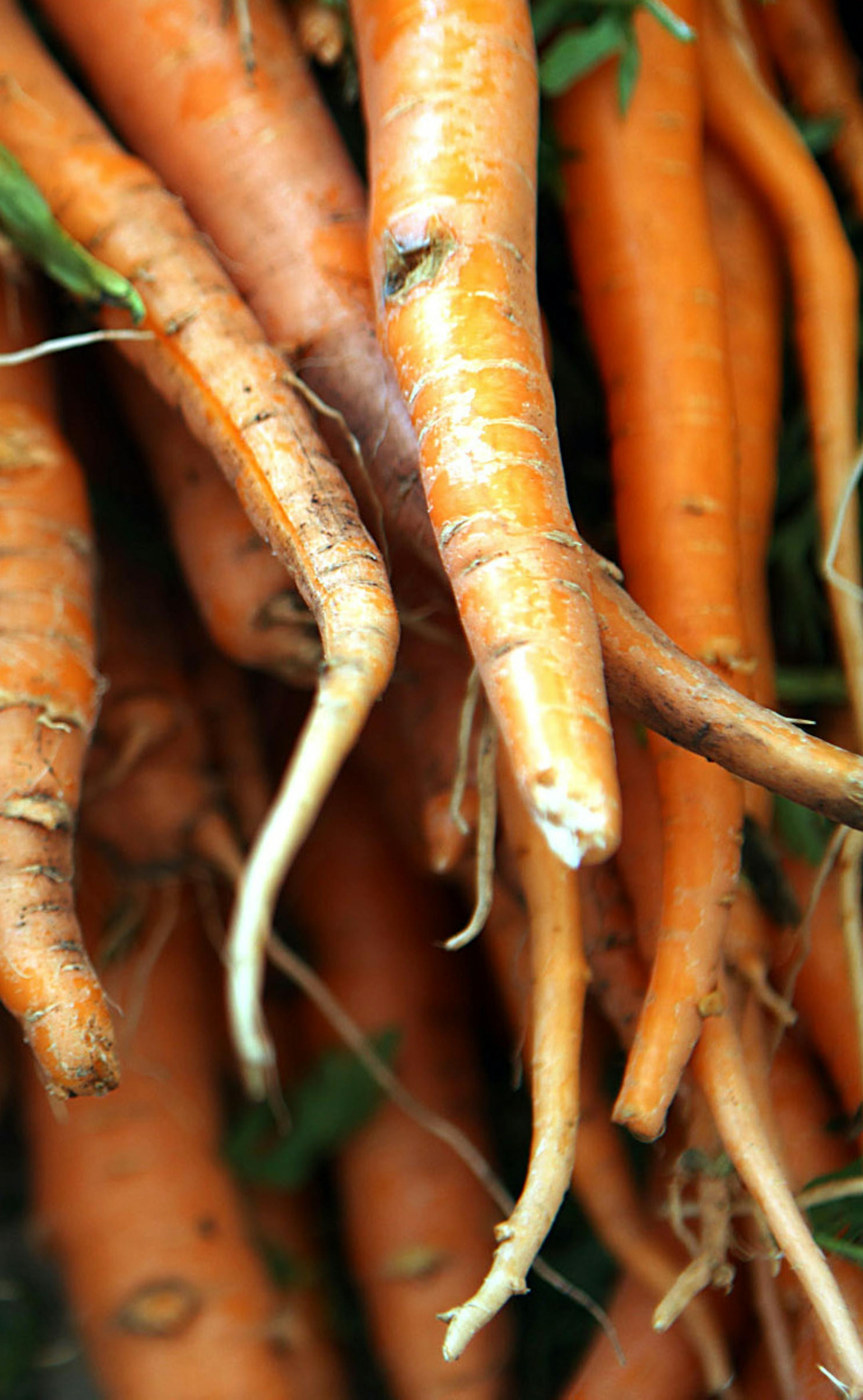 Orange sugarsnax carrots are on sale at the Green Acres Farm booth at the Green City Market in Chicago, August 17, 2011. (Heather Charles/Chicago Tribune/MCT) ORG XMIT: 1122747