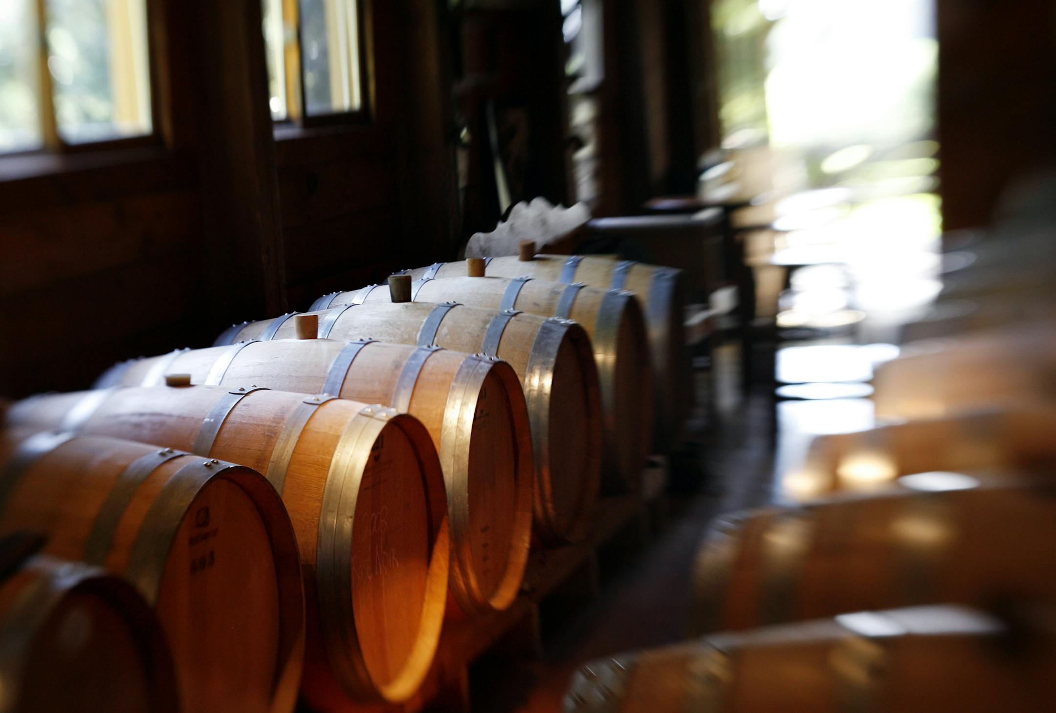 RENEE JONES SCHNEIDER &#xa5; reneejones@startribune.com Hastings, Minn. - 8/18/09 ] The Alexis Bailly Vineyard, near Hastings, is Minnesota's oldest winery.