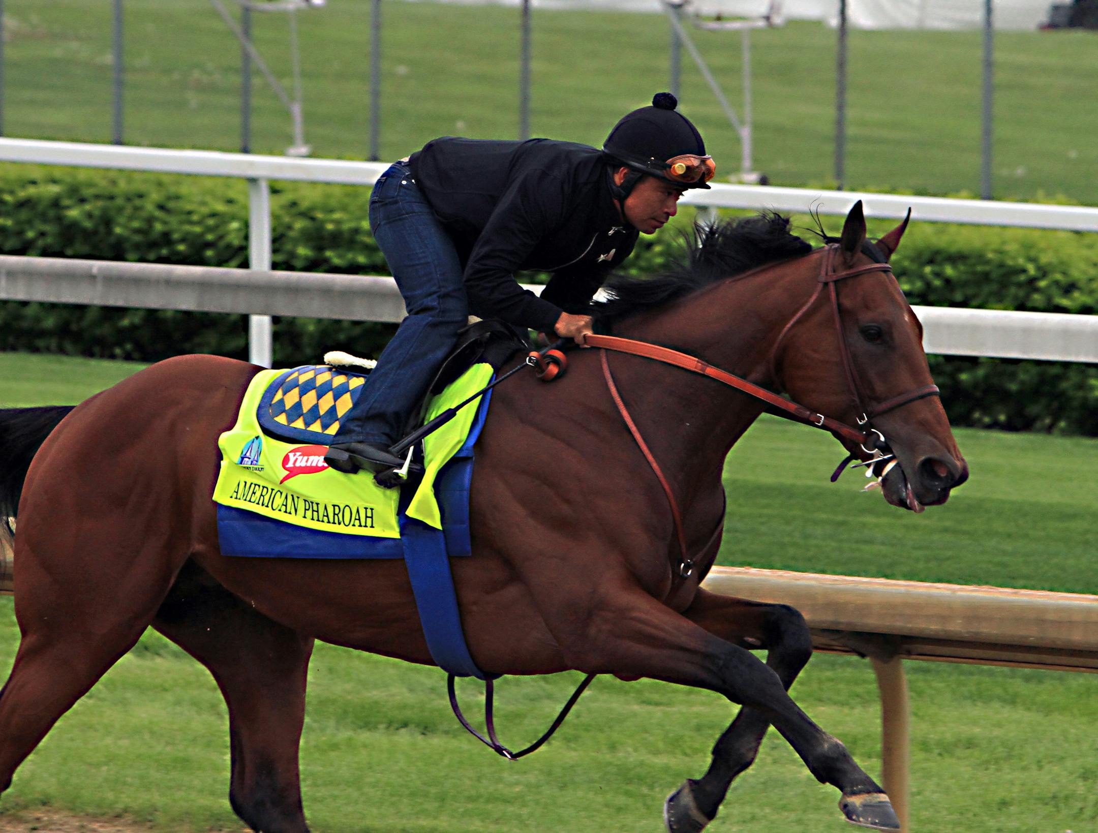 Martin Garcia rides Kentucky Derby hopeful American Pharoah during a morning workout at Churchill Downs in Louisville, Ky., Sunday, April 26, 2015. (AP Photo/Garry Jones)