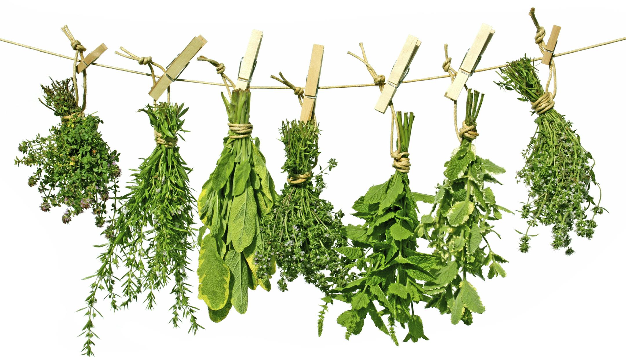Hanging herbs from istock.