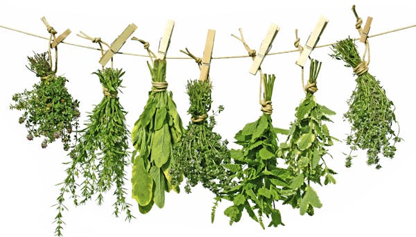 Hanging herbs from istock.