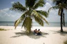 FILE - In this July 1, 2015 file photo, Marvin Hernandez, right, and Kelly Vera sit in the shade of a palm tree, in Key Biscayne, Fla. Florida's iconi