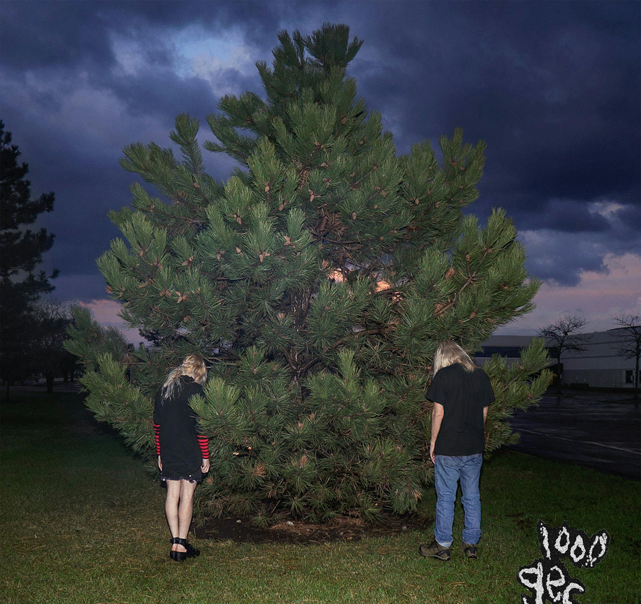 "1000 gecs" by 100 gecs