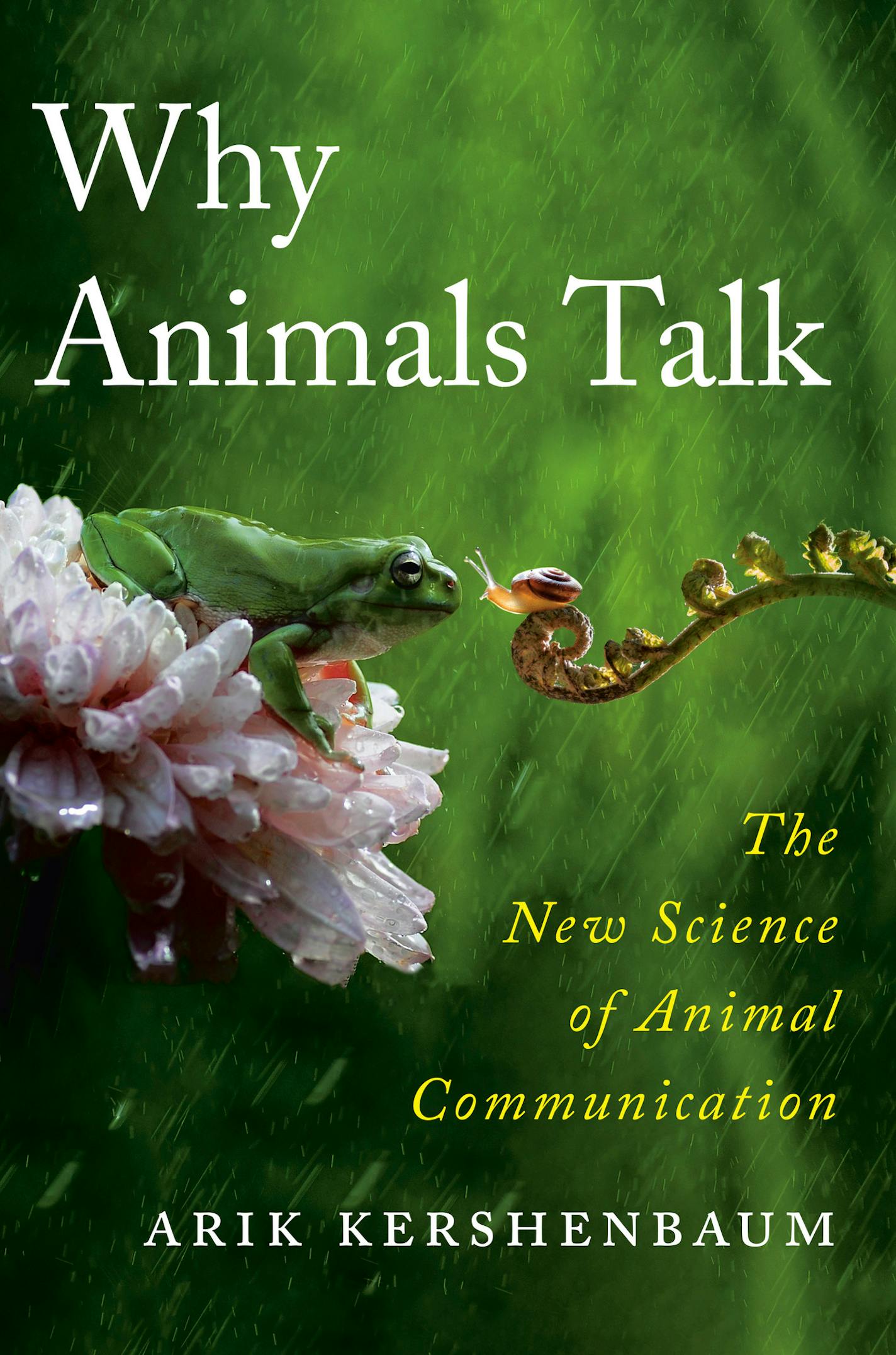 cover of Why Animals Talk is a photo of a frog and a snail looking at each other