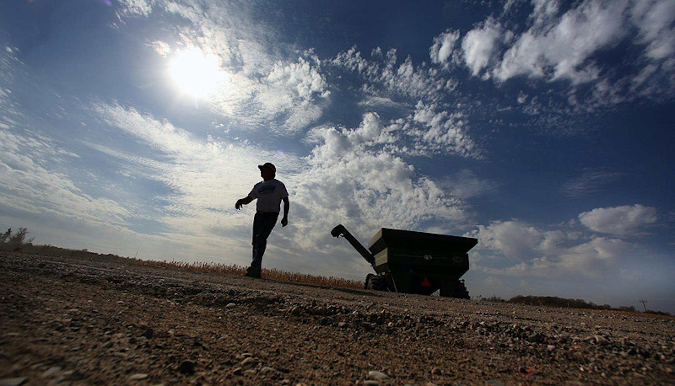 Tom Haag checked on equipment used to haul corn after he had emptied a wagon load of the grain into a semi-trialer.] JIM GEHRZ�\u20AC�jgehrz@startribune.com (JIM GEHRZ/STAR TRIBUNE) / Oct. 3, 2012 / 1:15 PM, Eden Valley, MN**BACKGROUND INFO- The soybean and corn harvests are underway and well ahead of schedule in Minnesota. Despite severe drought in some parts of the nation and dry conditions here, Minnesota farmers are doing relatively well. Tom Haag is among the Minnesota farmers who are bring