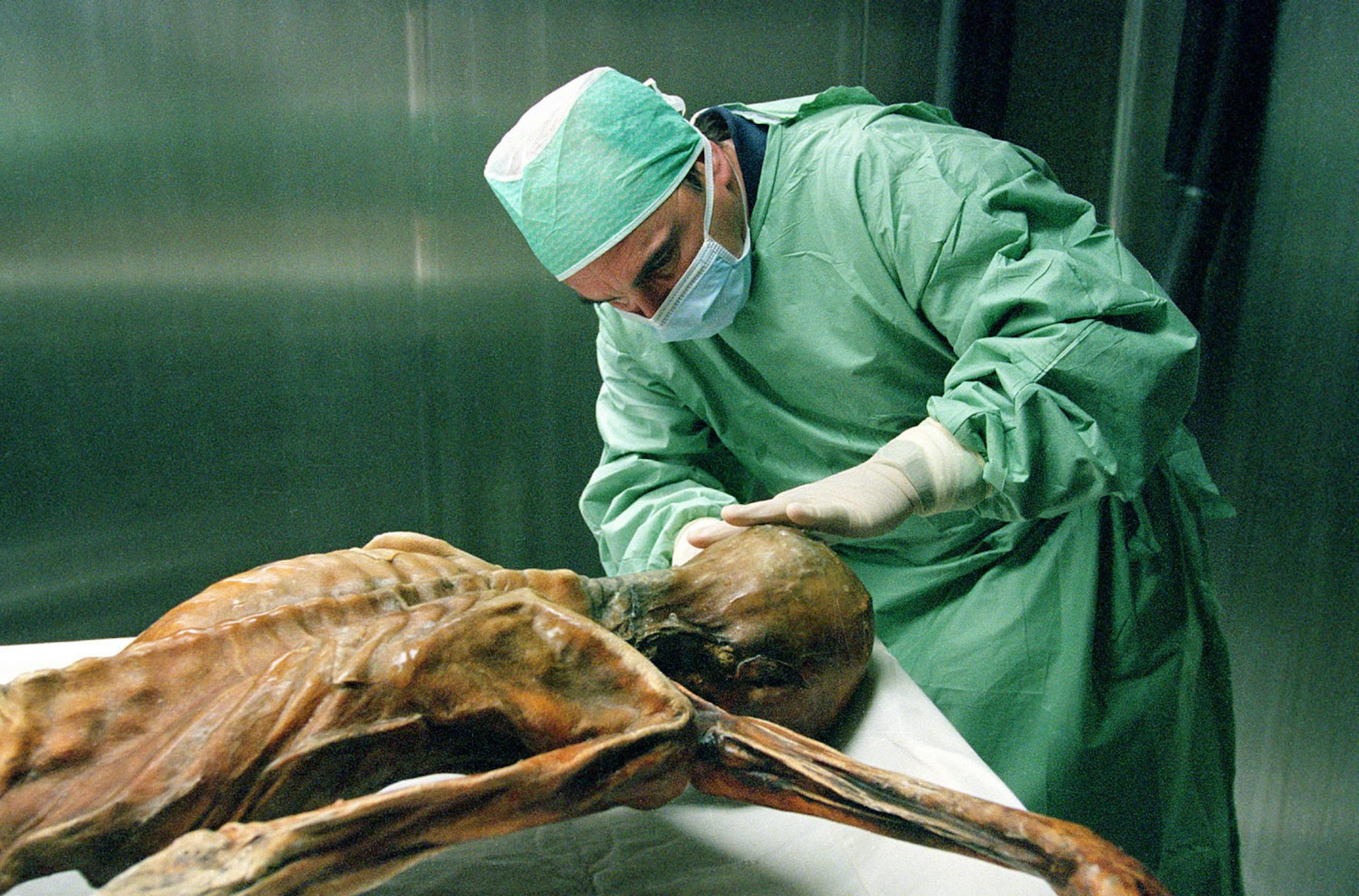 Taking a sample from Otzi the Iceman in the cold chamber credit: Courtesy of Marco Samadelli/South Tyrol Museum of Archaeology/EURAC