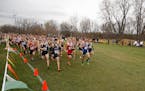 Cross-country is one of five sports, along with golf, tennis, Alpine and Nordic skiing, that do not charge admission at state championship events. Sit