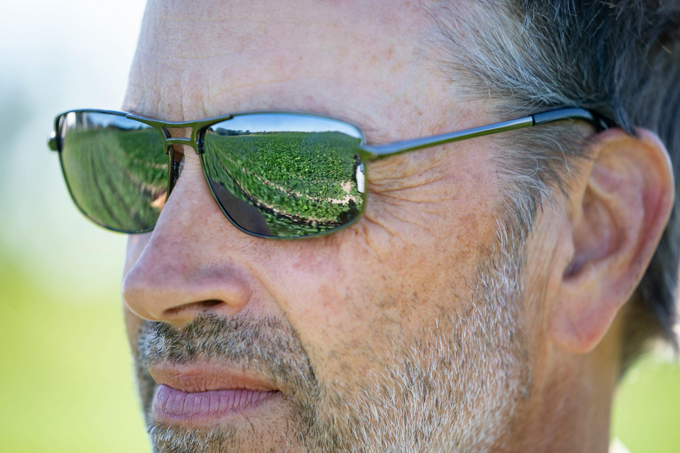 Max Gustafson poses for a portrait in his soybean field.