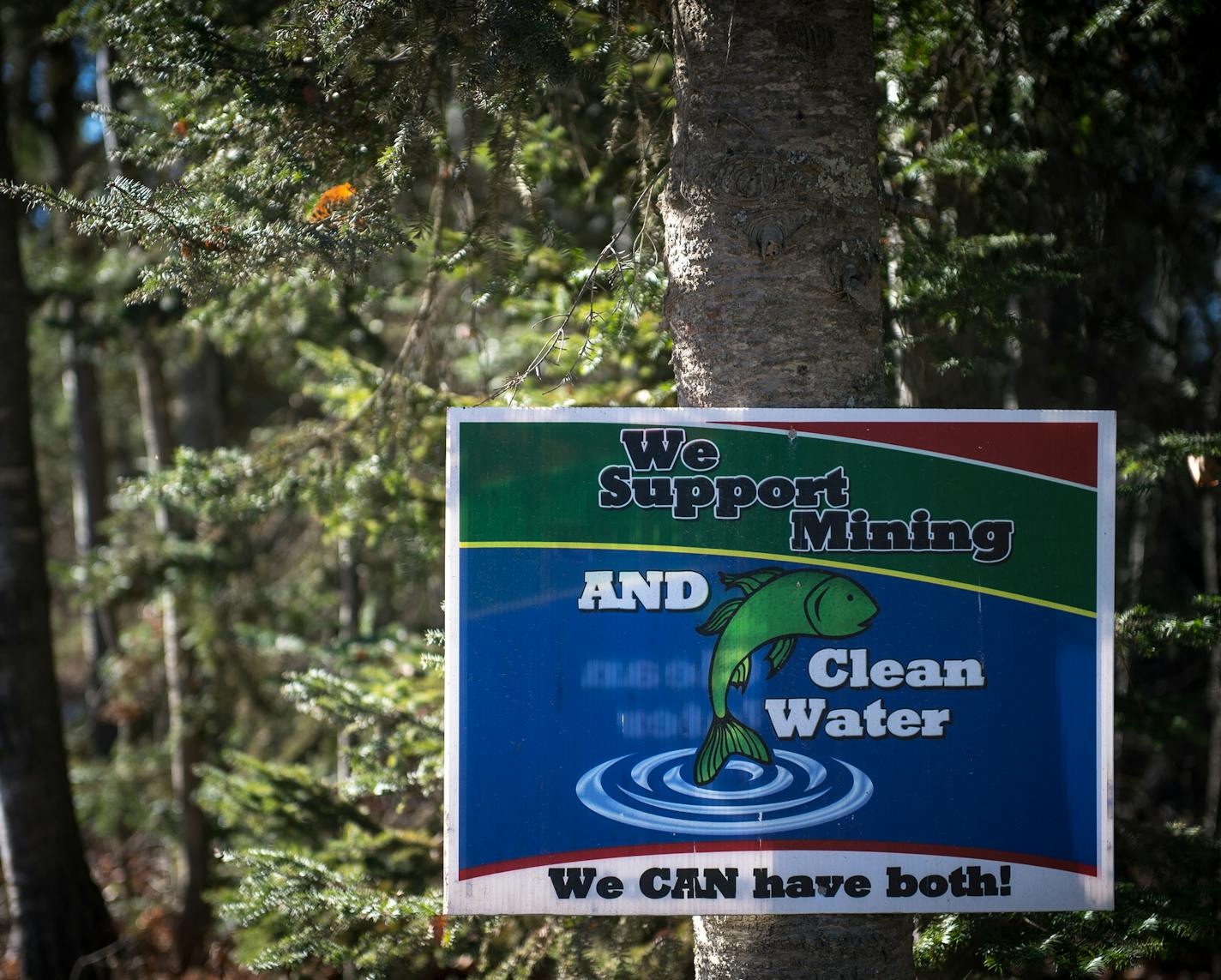 A sign hung to a tree outside of Ely demonstrated the complicated relationship that locals have with copper mining near the BWCA. ] (AARON LAVINSKY/STAR TRIBUNE) aaron.lavinsky@startribune.com Profile on BWCA environmental activist Becky Rom, who is fighting proposed sulfide ore copper mining near the edge of the BWCA. Photographed Thursday, Nov. 10, 2016 in Ely, Minn.