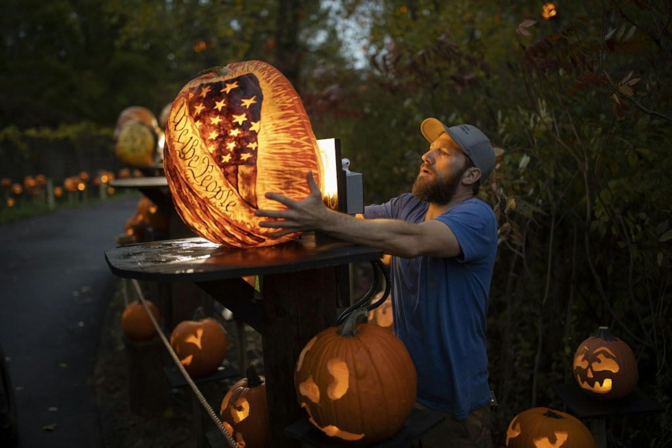As darkeness fell, Paul Cadieux mounted an LED light source onto the back of one of the 127 "intricate" carved pumpkins scattered along the trail. It can take as long as eight hours to carve the more elaborate pumpkins.