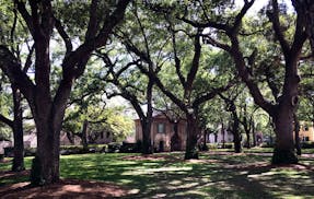 View of the Cistern Yard at the center of the College of Charleston. Every spring the college holds graduation ceremonies here. A trip to Charleston, 