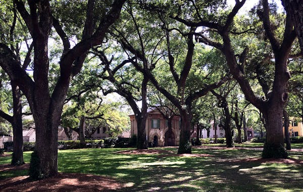 View of the Cistern Yard at the center of the College of Charleston. Every spring the college holds graduation ceremonies here. A trip to Charleston, 