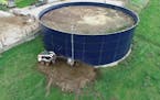 About 20,000 gallons of liquid manure has leaked out of an above-ground storage tank in Stearns County.