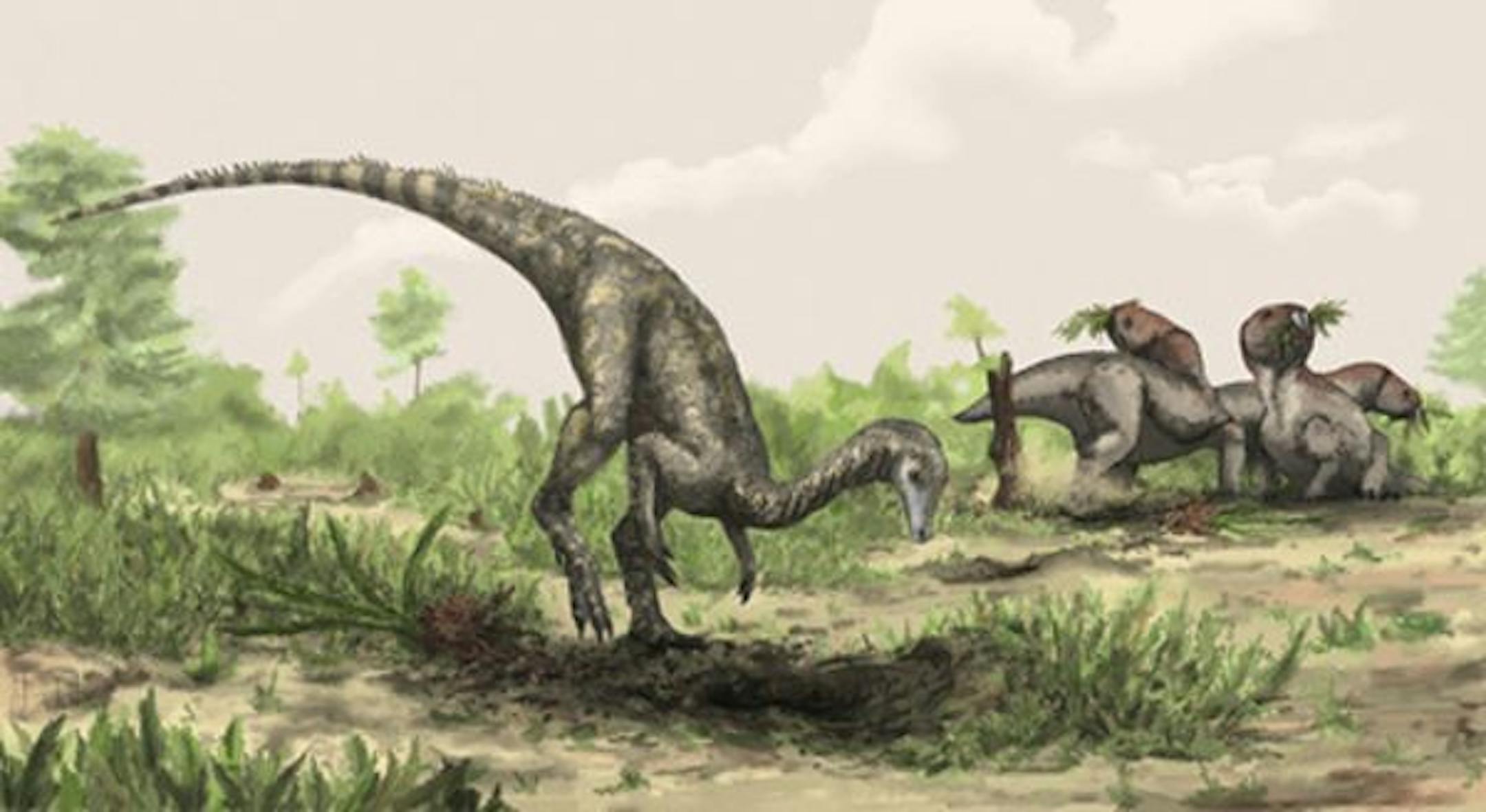 A rendering of the Nyasasaurus parringtoni, in an undated handout image. Researchers may have discovered the earliest dinosaur yet, Nyasasaurus, the size of a Labrador retriever but with a five-foot-long tail, which roamed the earth about 243 million years ago. (Mark Witton/Natural History Museum via The New York Times) -- NO SALES; FOR EDITORIAL USE ONLY WITH STORY SLUGGED SCI WATCH. ALL OTHER USE PROHIBITED. --