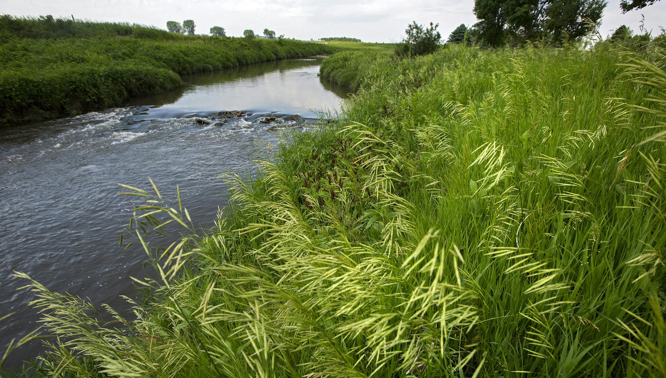 A buffer strip of grass and trees along the Rock River west of Edgerton is a good example of the protective strips that help filter runoff. ] In the small town of Edgerton where a shallow aquifer readily absorbs leaching farm chemicals, residents pay extra every month for special treatment to make their water safe to drink. The nitrate-removal system -- now woven into the infrastructure of this heavily Dutch settlement - reflects the dilemma that a number of communities are having across Minneso