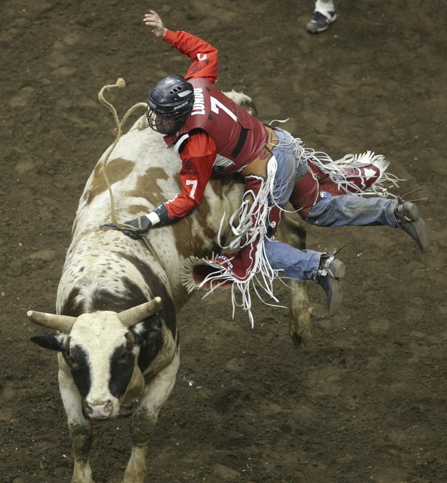 JEFF WHEELER &#xef; jwheeler@startribune.com ST. PAUL - 1/30/09 - The Toughest Cowboy competition of the World's Toughest Rodeo made it's annual Winter Carnival stop in St. Paul Friday night at Xcel Energy Center. The rodeo continues on Saturday night. IN THIS PHOTO: ] Cowboy Ben Londo of Athena, Oregon was tossed off his bull during the elimination ride off Friday at the end of competition Friday night. Londo was tossed out of the competition as well as off the bull due to his low score. ORG XM