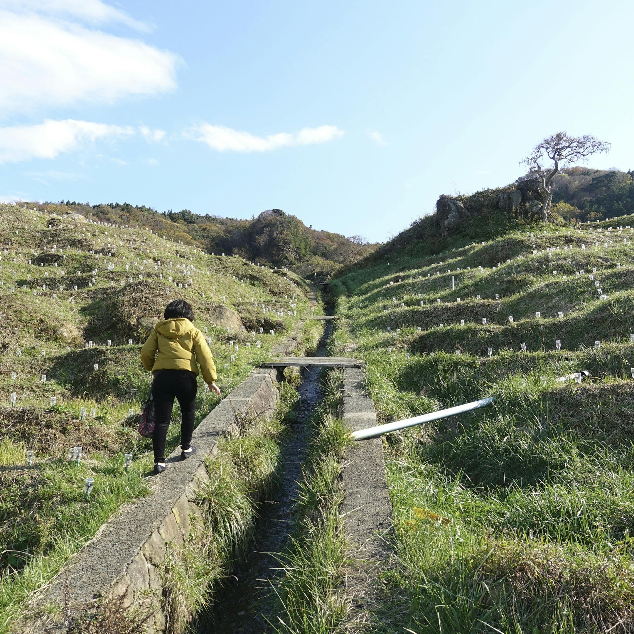 Terraced rice paddies on the Noto Peninsula in Japan, Nov. 2018. Our 52 Places columnist tries on traditional robes and footwear; learns to enjoy seafood (as long as it’s not chewy); and discovers (once again) how small the world is. (Jada Yuan/The New York Times)