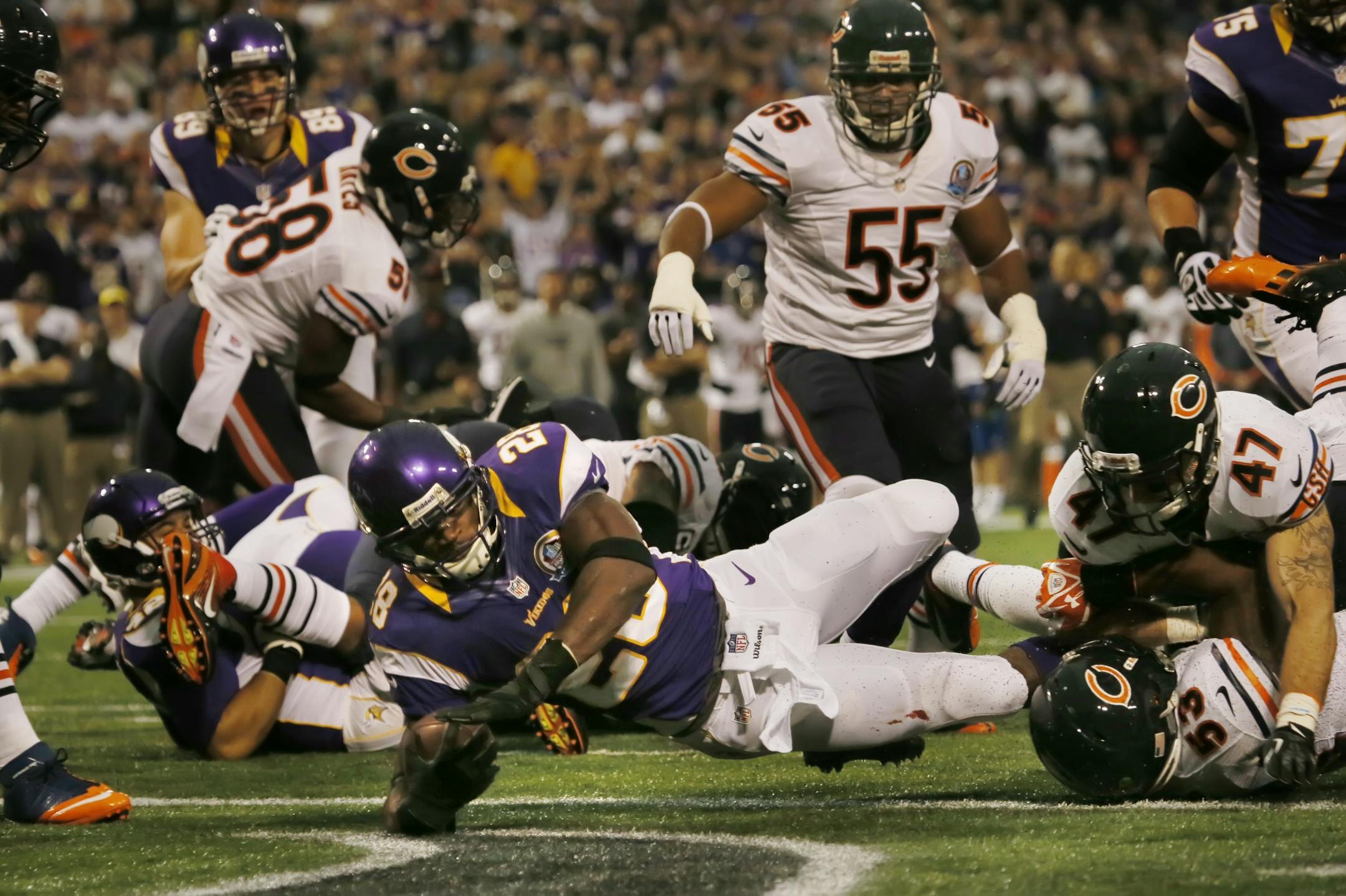 Adrian Peterson dived across the goal line for the second of his two first-quarter touchdowns on Sunday against the Bears. Peterson ran for 154 yards on 31 carries.