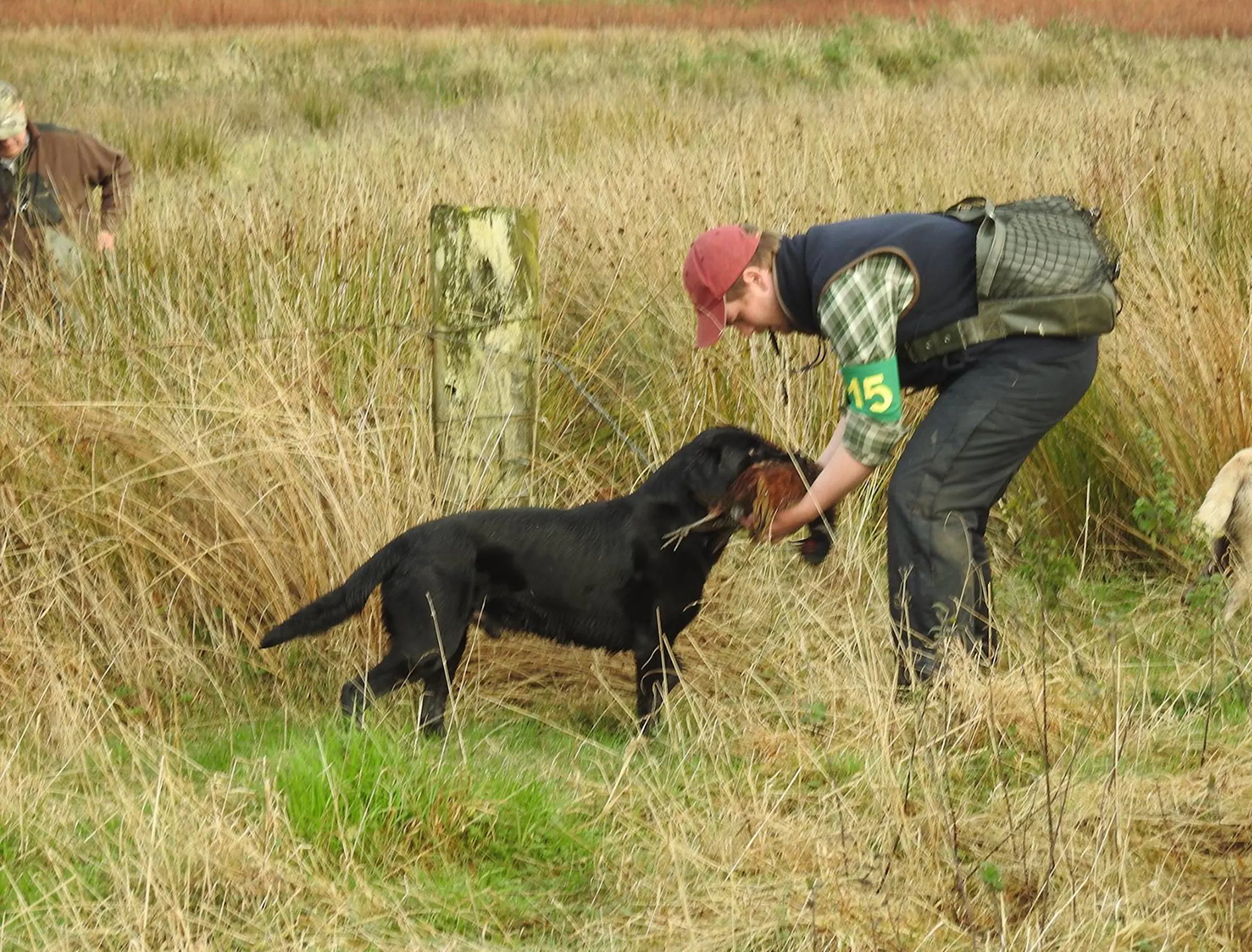 Anderson: Once also-rans, a handler and his Labrador become royalty
