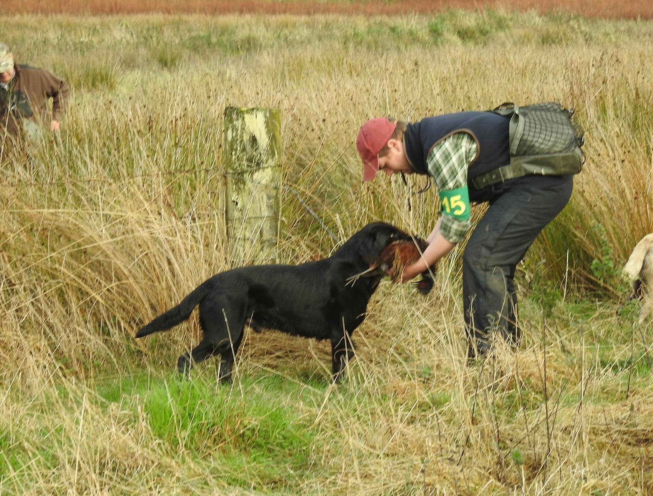 David Logan afield with one of his dogs.