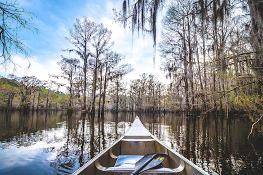 Caddo Lake State Park is a 25,400-acre mosaic of swamps, ponds and bayous, and is the only natural lake in Texas. (Travel Texas/TNS)