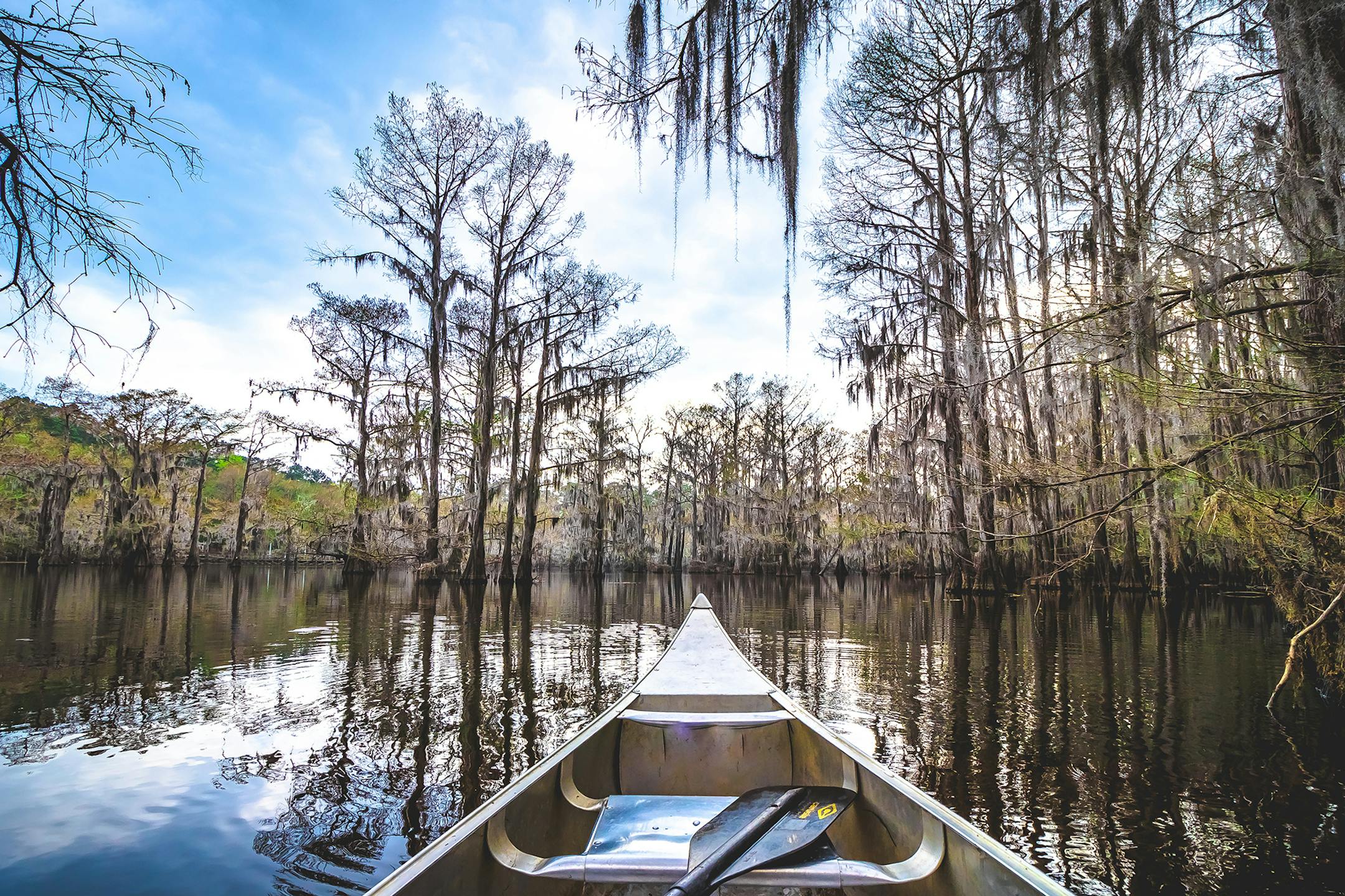 Caddo Lake State Park is a 25,400-acre mosaic of swamps, ponds and bayous, and is the only natural lake in Texas. (Travel Texas/TNS)