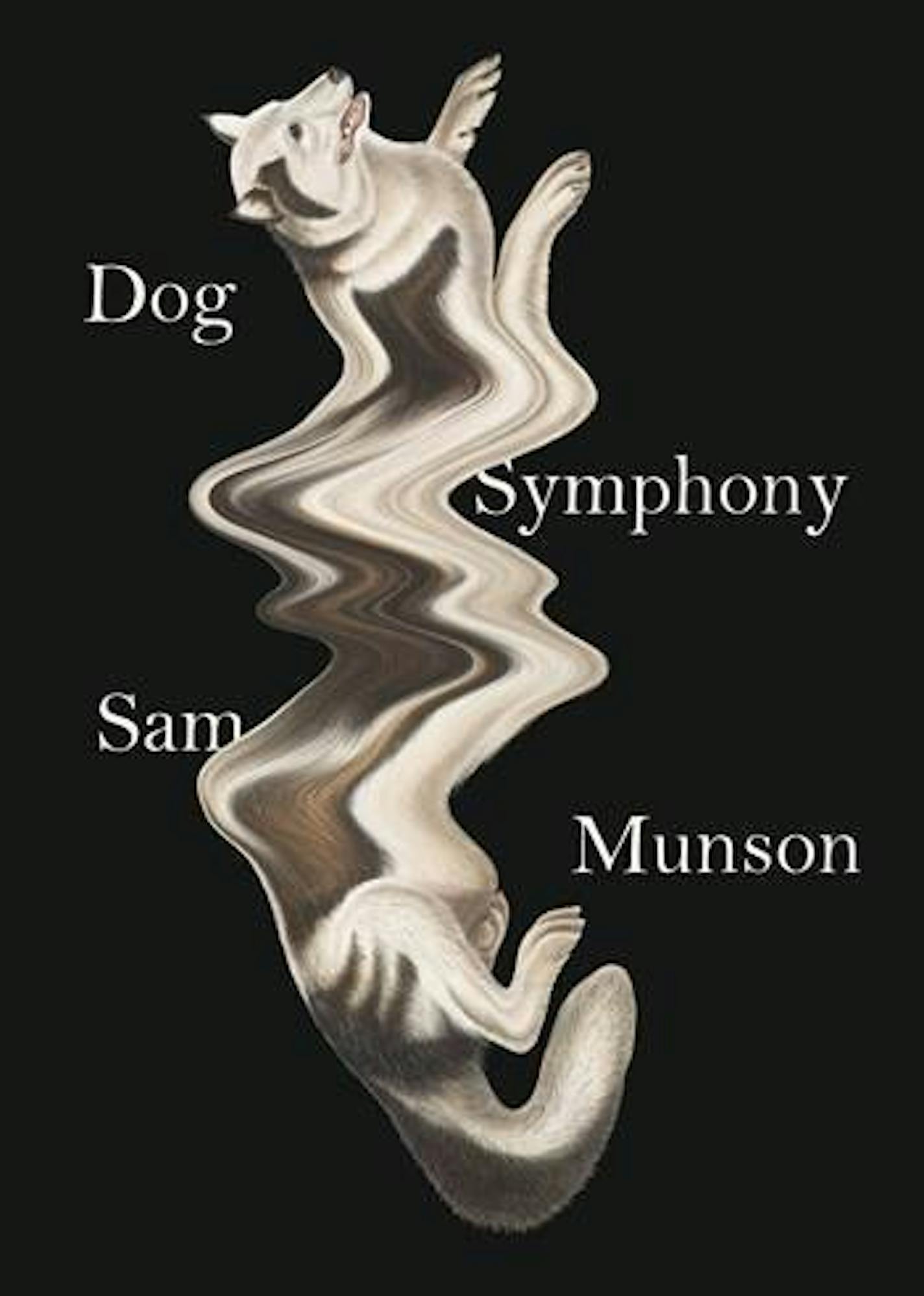 Dog Symphony, by Sam Munson