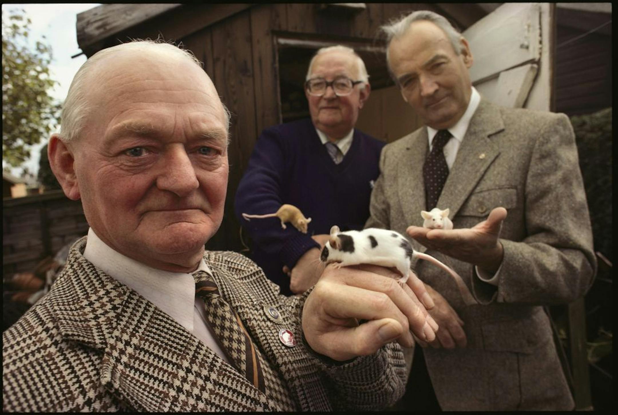 BritainCredit: Annie Griffiths Belt