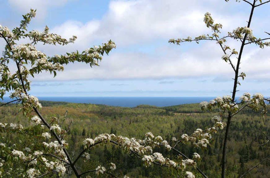 State Parks