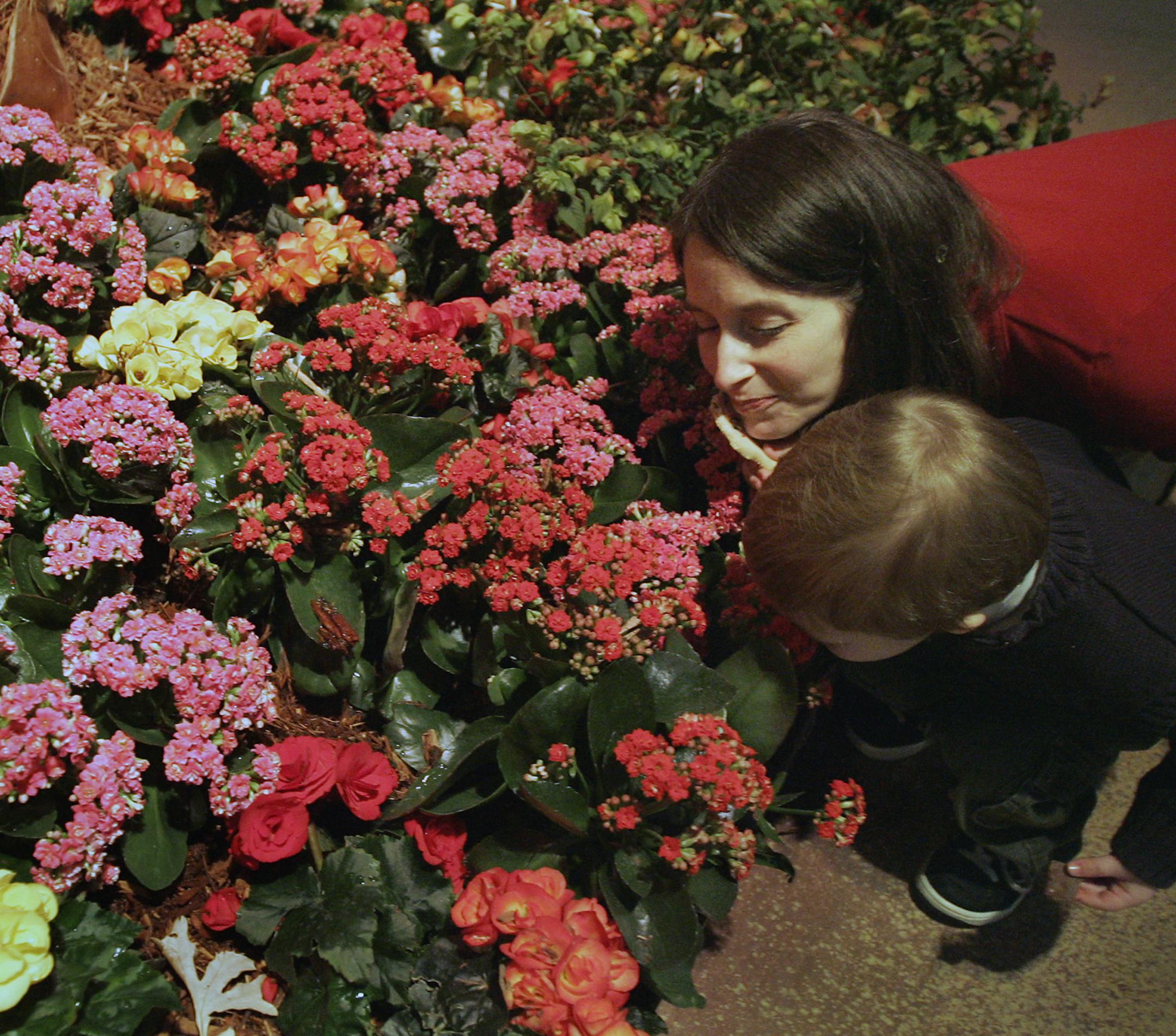 Richard Tsong-Taatarii/Star Tribune Minneapolis, MN;3/11/05;left to right:Leann Sipple of West St. Paul and her son Rowan Steger,2.5, take a minute to smell Reiger Begonia flowers at the Marshall Field's and Bachman's Spring Flower Show. The show which officially opens on Saturday, features music and art that complement the flowers.
GENERAL INFORMATION: Marshall Field's and Bachman's Spring Flower Show
