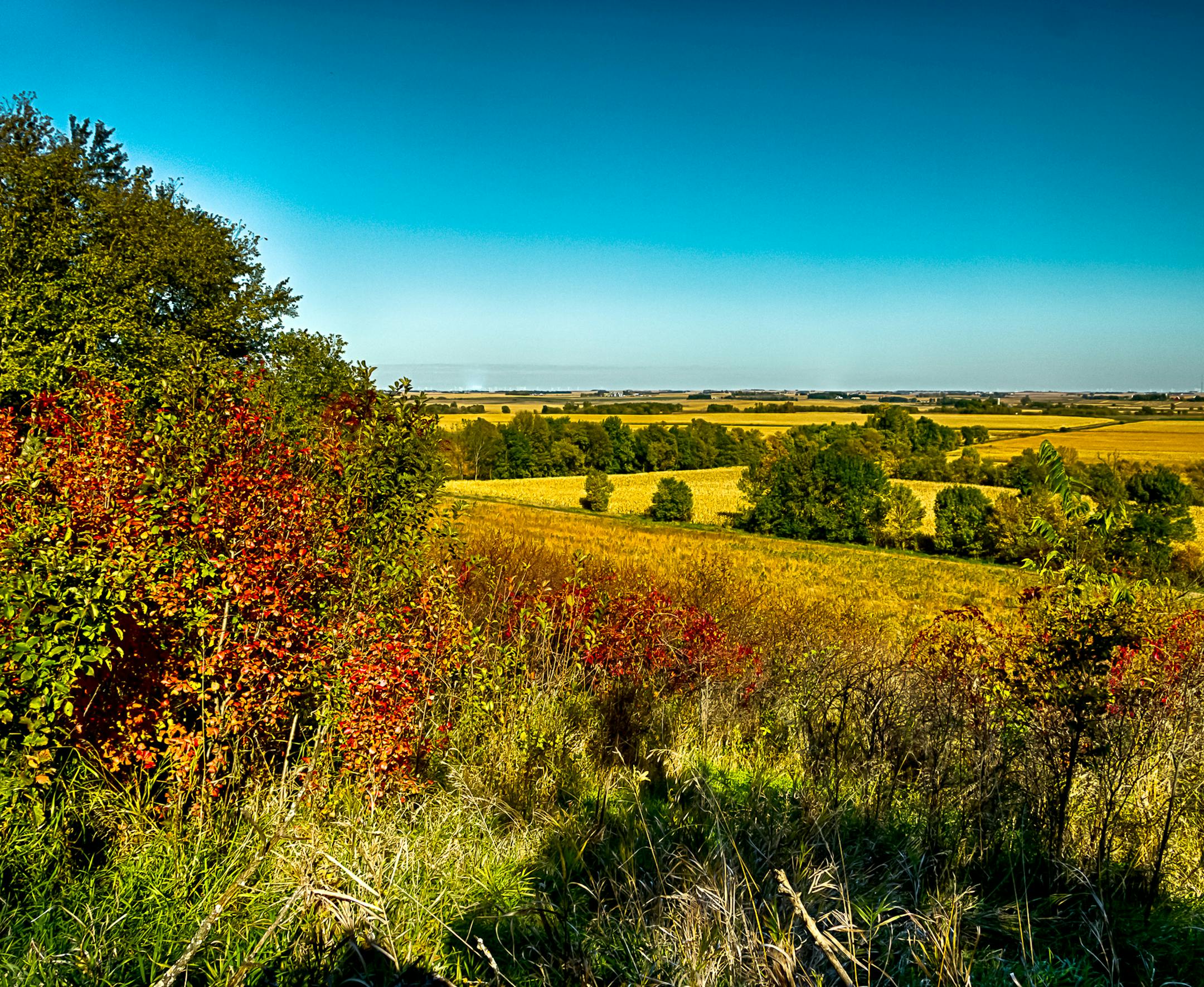 On Cliffs Edge Trail, Blue Mounds State Park: TRAVELER; Charles Freiss, THE SCENE: Myself and brother Kenny were on a 3 plus days of photography in SW Minnesota. This scene is from the Upper Cliffs Edge Trail in Blue Mound State Park near Luverne,MN. on 0ct. 9, 2016.This location provided a great combination of fall colors in the reds of the foliage, golden yellows of the ripened corn and greens of the trees. This great vantage point on this trail shows the beauty of SW Minnesota. GOT THE SHOT;