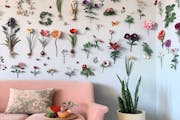 Ann Wood's work displayed as a botanical wall in her Minneapolis studio.