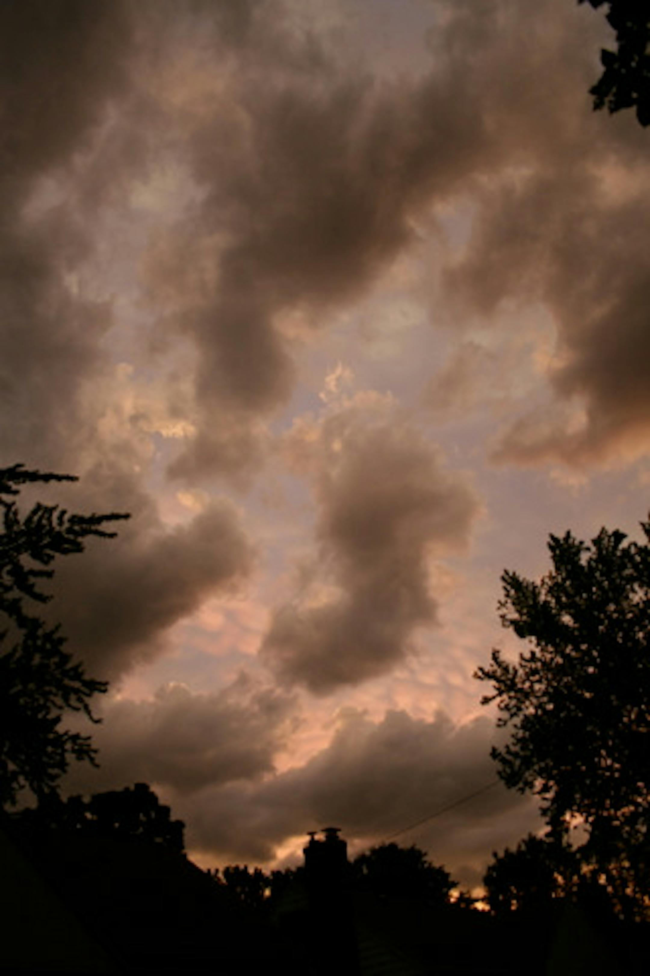 photo credit Jennifer Rensenbrink