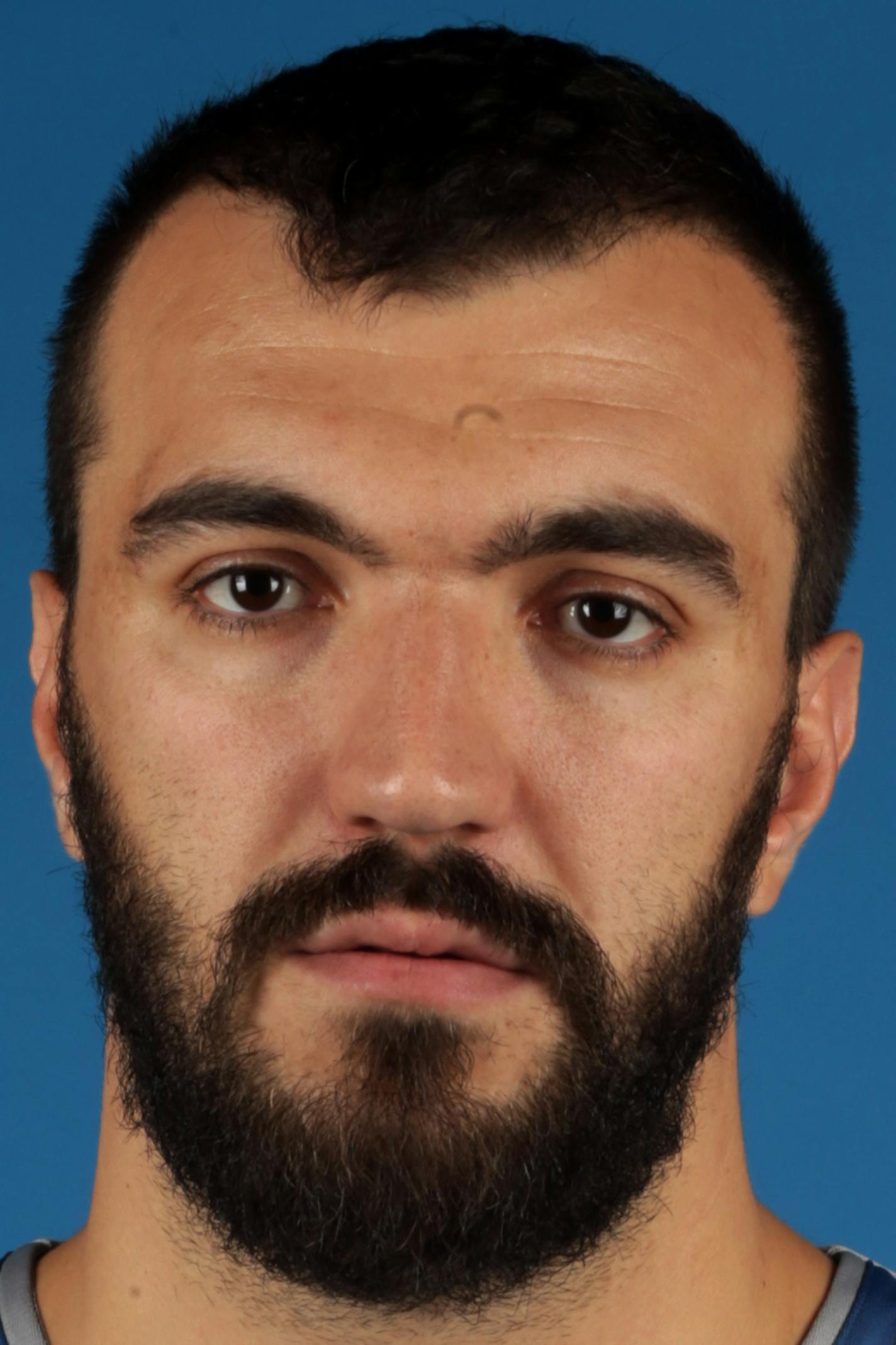 Wolves center Nikola Pekovic