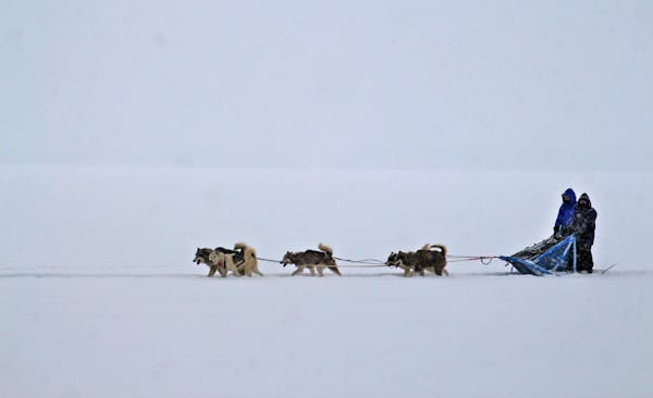 7. Ely has 8 dog sledding outfitters, a greater concentration of dogsled tourism that anywhere in the US.