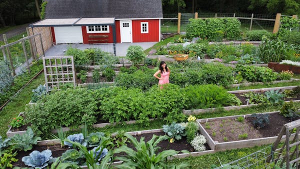 Meg Cowden’s succession planting farm will be part of Friday’s garden tours during the GardenComm conference. 