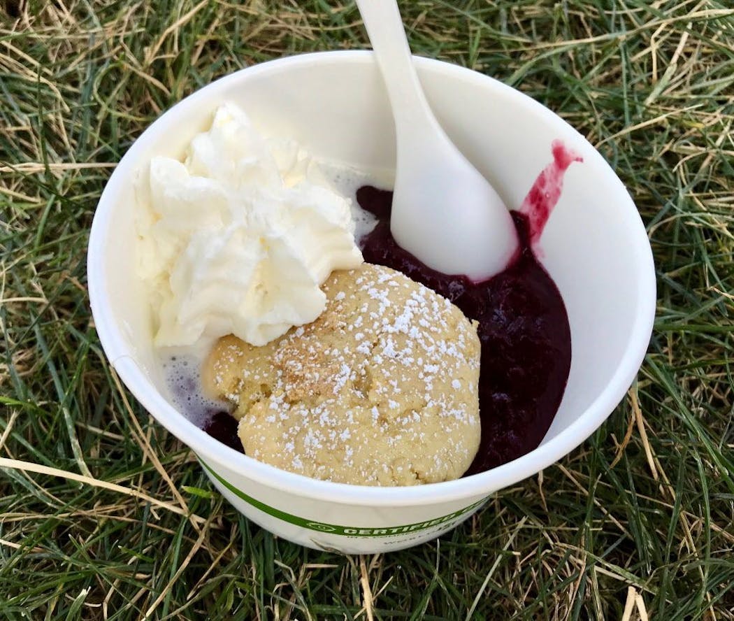 Blueberry-Rhubarb Cobbler at Farmers Union Coffee Shop, Dan Patch/Cosgrove, $8. Lovely. A taste of Minnesota summer, in a cup. Warm compote, real whipped cream. Not too sweet, a miracle at the state's largest sugafest. A total winner. Photo by Rick Nelson New food at the Minnesota State Fair 2018