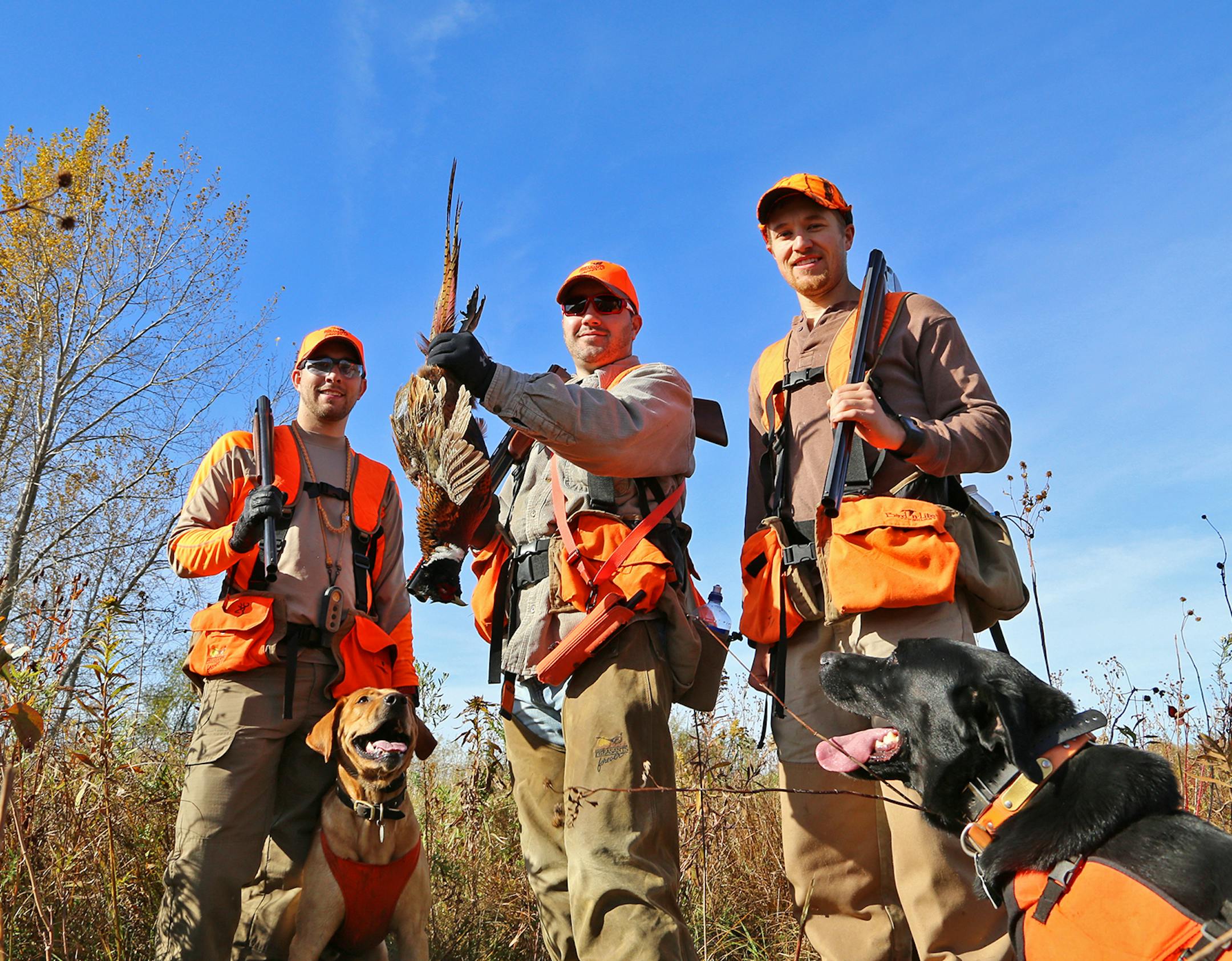 Happy hunters: Logan Hinners left, of Wyoming, Minn.; Andy Ness of Spring Valley, Minn., and Kale Hinners of Bagley, Minn., with a rooster pheasant taken in southeast Minnesota Saturday, opening day of the Minnesota 2015 ringneck season.