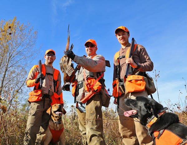 Happy hunters: Logan Hinners left, of Wyoming, Minn.; Andy Ness of Spring Valley, Minn., and Kale Hinners of Bagley, Minn., with a rooster pheasant ta