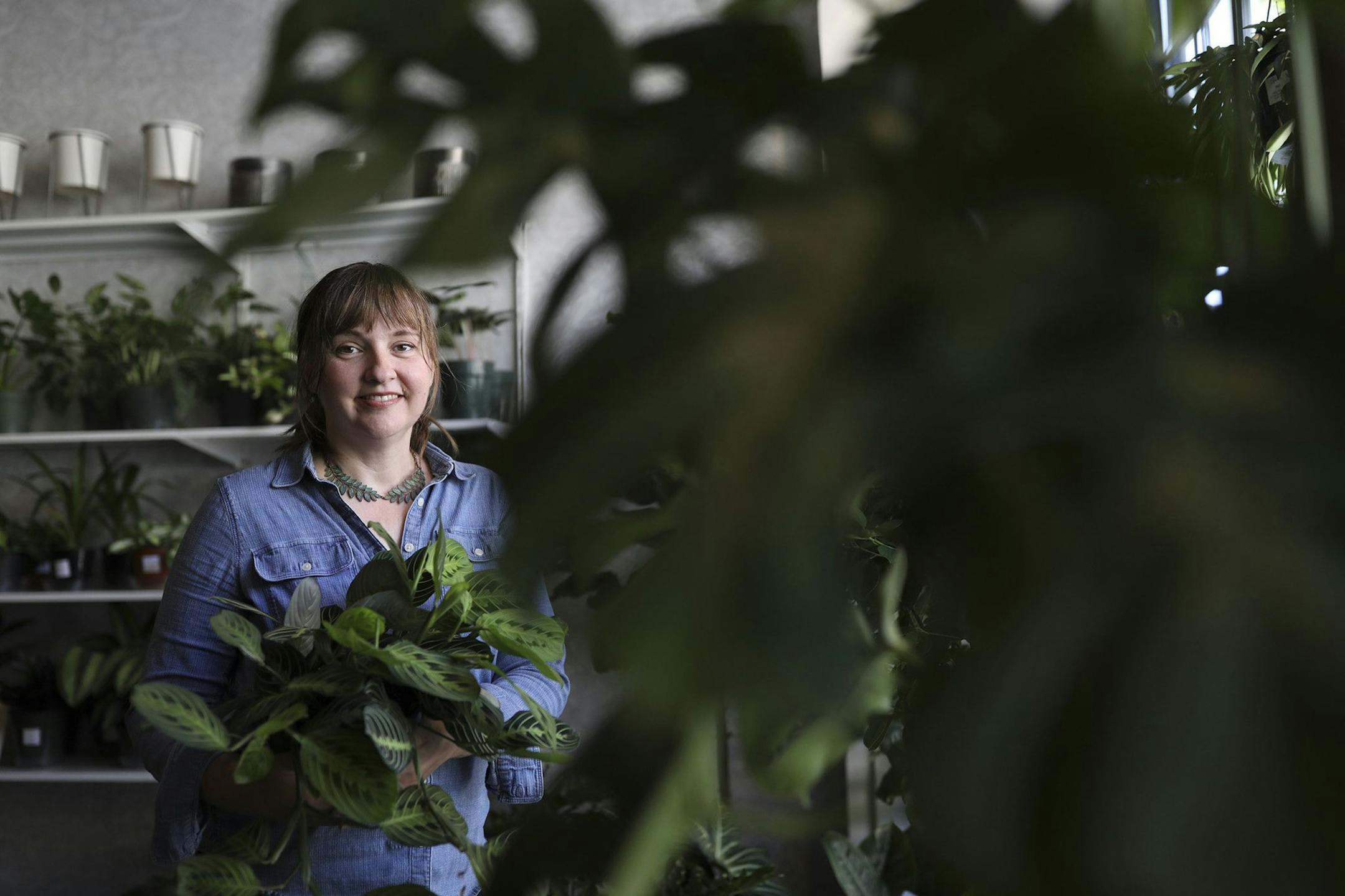 Lynn Fosbender, owner of Rooted, a house plant shop in Logan Square, holds a Maranta prayer plant on Aug. 11, 2020. (Abel Uribe/Chicago Tribune/TNS)