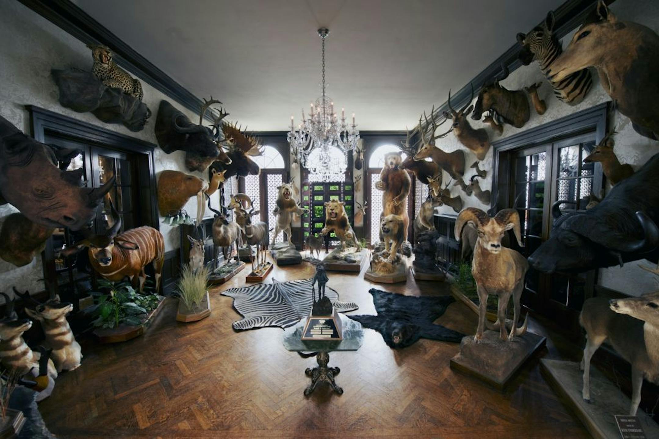The Trophy room at the Pillsbury Mansion on Blaisdale Av.