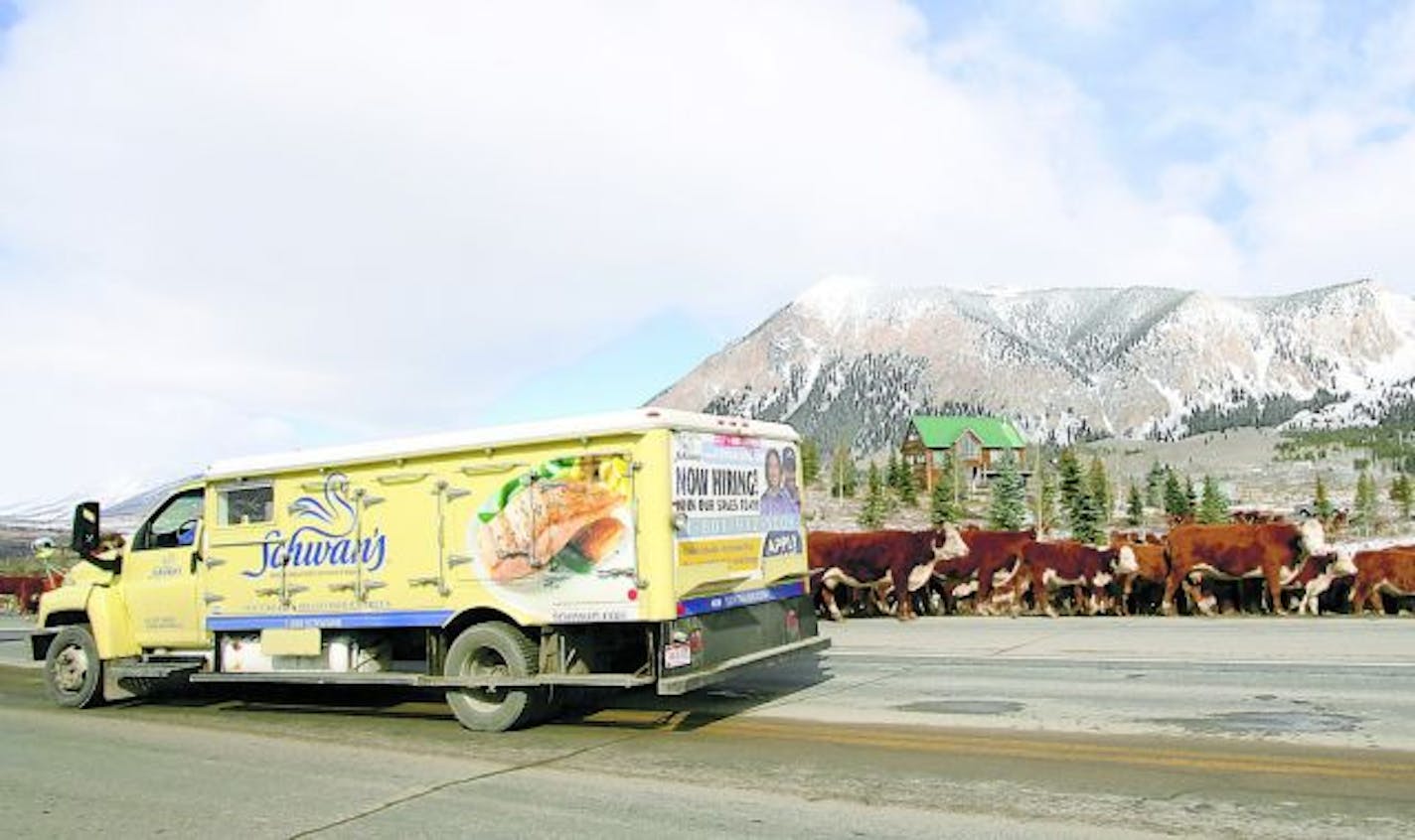 A Schwan's frozen food truck with an advertisement for fish dinner entrees passes a cattle drive along Colorado Highway 135 from Crested Butte, Colo. Thursday, Oct. 26, 2006. The Allen family from Gunnison Colo., move their cattle out of the high country to lower pastures before winter storms arrive with snow.