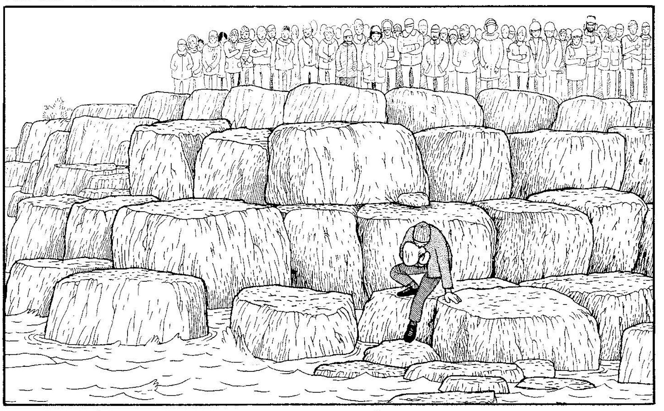 An illustration from "Don't Go Where I Can't Follow," by Anders Nilsen.