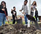 Students from two St. Paul schools — Capitol Hill Gifted and Talented Magnet and Benjamin E. Mays IB World School — planted trees on their campuse