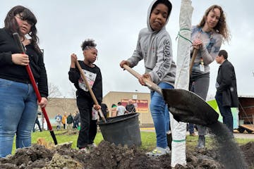 Students from two St. Paul schools — Capitol Hill Gifted and Talented Magnet and Benjamin E. Mays IB World School — planted trees on their campuse