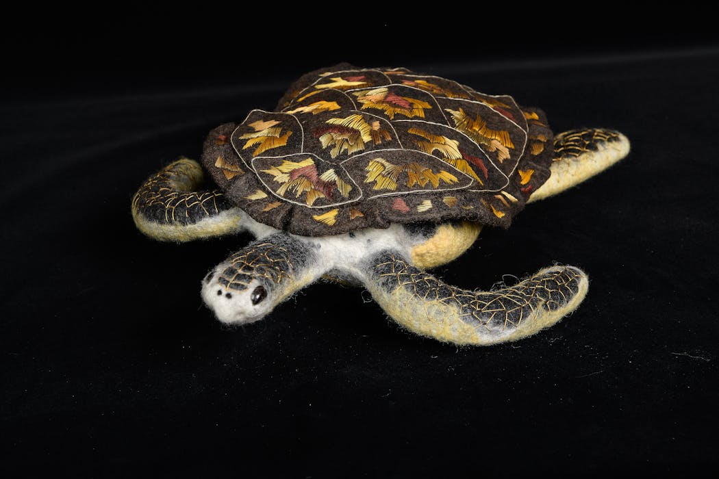 Hawksbill sea turtles’ beautiful shells make them a target of poachers.