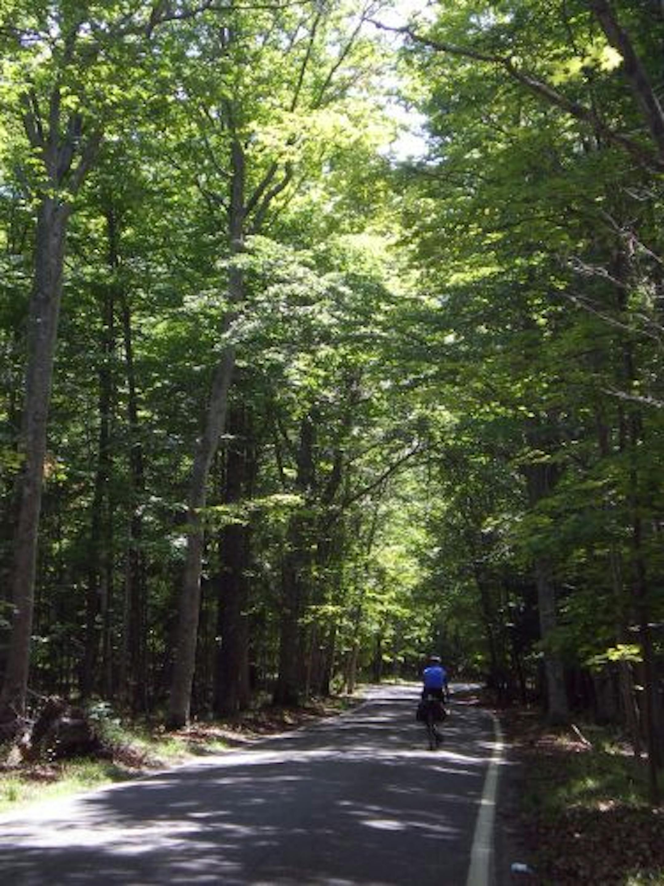 Andy Jones rides on Route 119, which winds through the 21-mile Tunnel of Trees that starts in Cross Village.