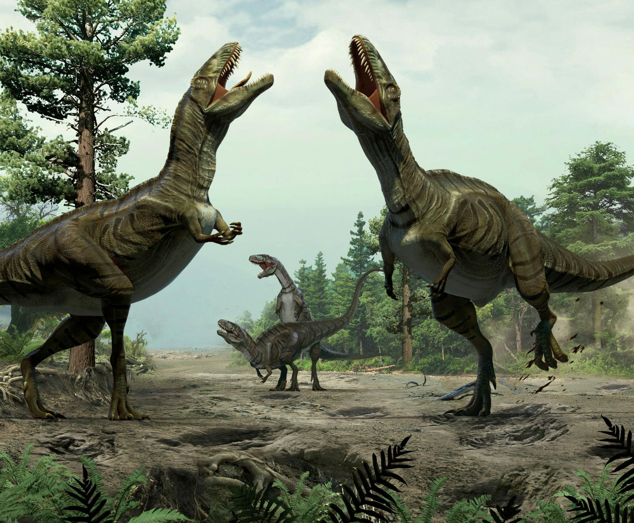 This illustration provided by Lida Xing and Yujiang Han in January 2016 shows theropods engaged in scrape ceremony display activity, based on trace fossil evidence from Colorado. The scientists who discovered the long grooves say they were dug by the feet of dinosaurs during a frenzied ritual to attract mates. Such behavior is seen nowadays in some birds, and the discovery suggests that two-legged, meat-eating dinosaurs called theropods did it about 100 million years ago, the researchers said in